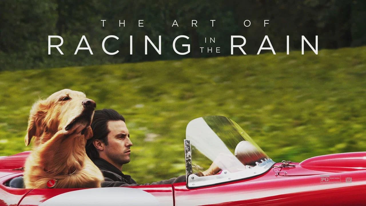 The Art of Racing in the Rain