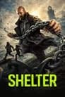 Shelter